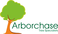 Arbor Chase Tree Specialists